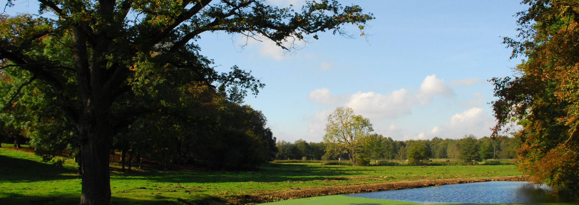 Gutspark Alt Plestlin-Teich, © Friedrich Diestelmeier