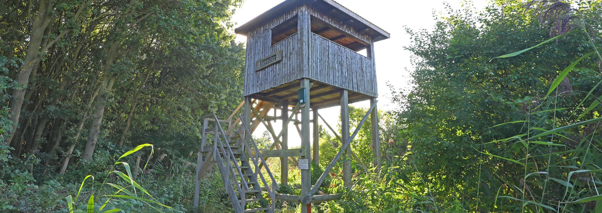 Aussichtskanzel Seeadler_2, © TMV/Gohlke