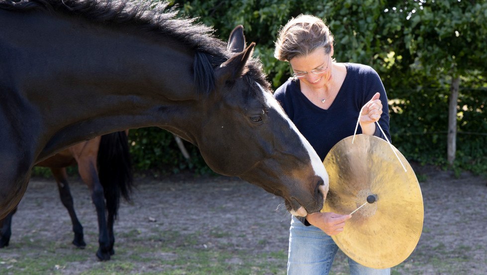 Sabine Schnabel - KLANG FÜR PFERDE: Licht des Nordens und GOOD VIBRATIONS - Entspannung pur…, © Anika Büssemeier