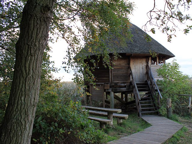 Kranichbeobachtungspunkt Bisdorf