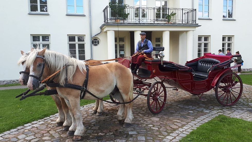 Egal ob Kindergeburtstag, Betriebsausflug, Gruppenreise, Junggesellabschied - die Mecklenbuger Kutsch- und Kremserfahrten fahren Sie!, © Mecklenburger Kutsch- und Kremserfahrten/ Axel Peters