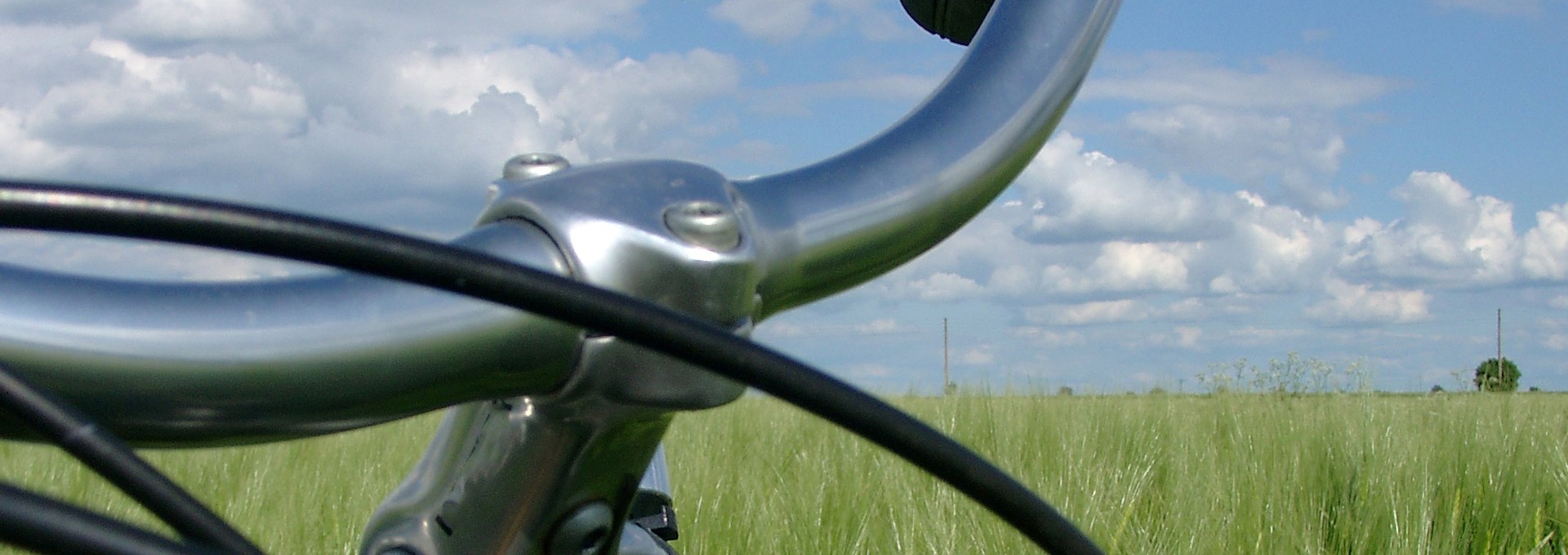 Fahrradlenker vor grünem Getreide., © Ralf Tetmeyer, radreisen-mecklenburg