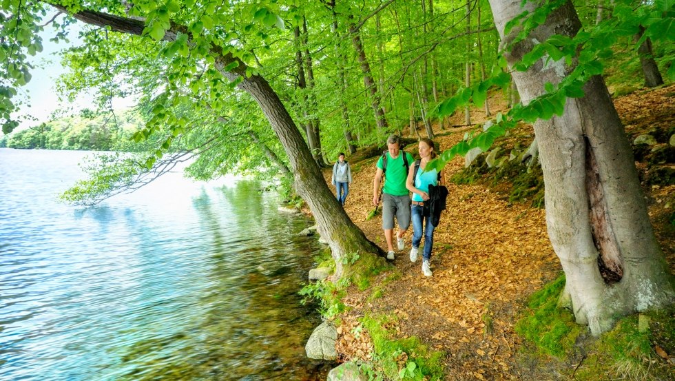 Pfade am Seeufer des Schmalen Luzin in der Feldberger Seenlandschaft, © TMV/foto@andreas-duerst.de