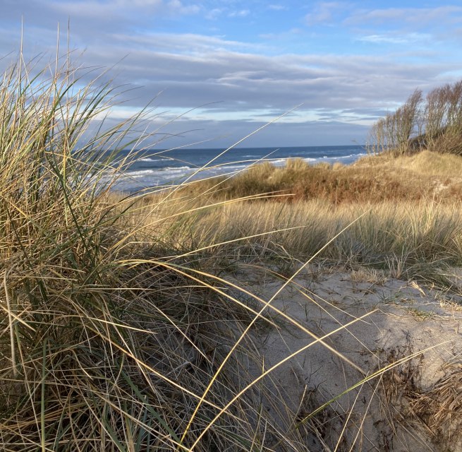 Weststrand Winter, © Katrin Bärwald