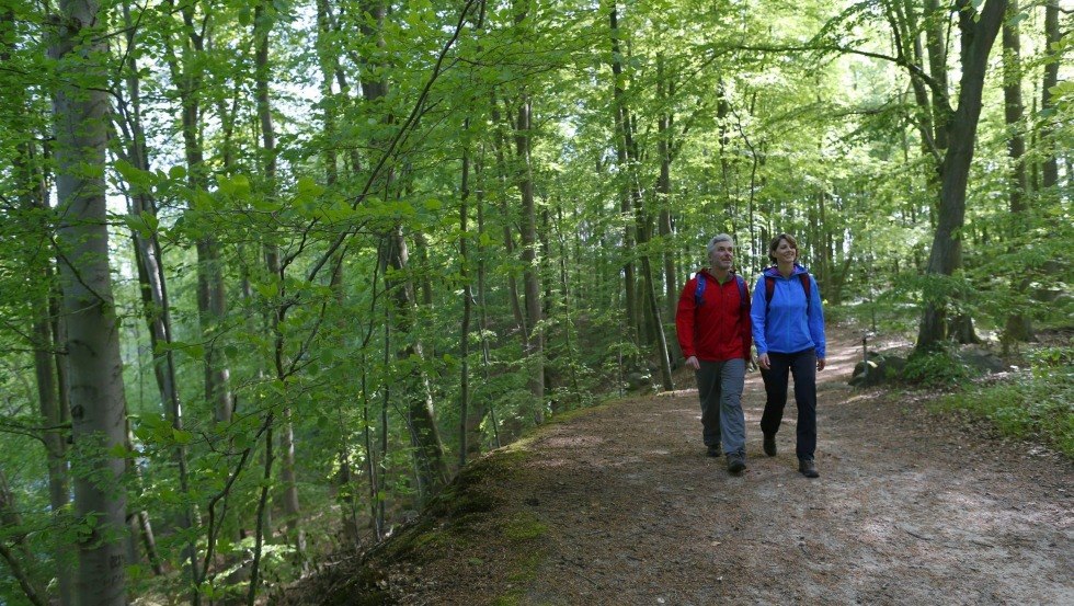 Durch tiefe Wälder führt der Weg entlang der Warnow., © TMV/outdoor-visions.com