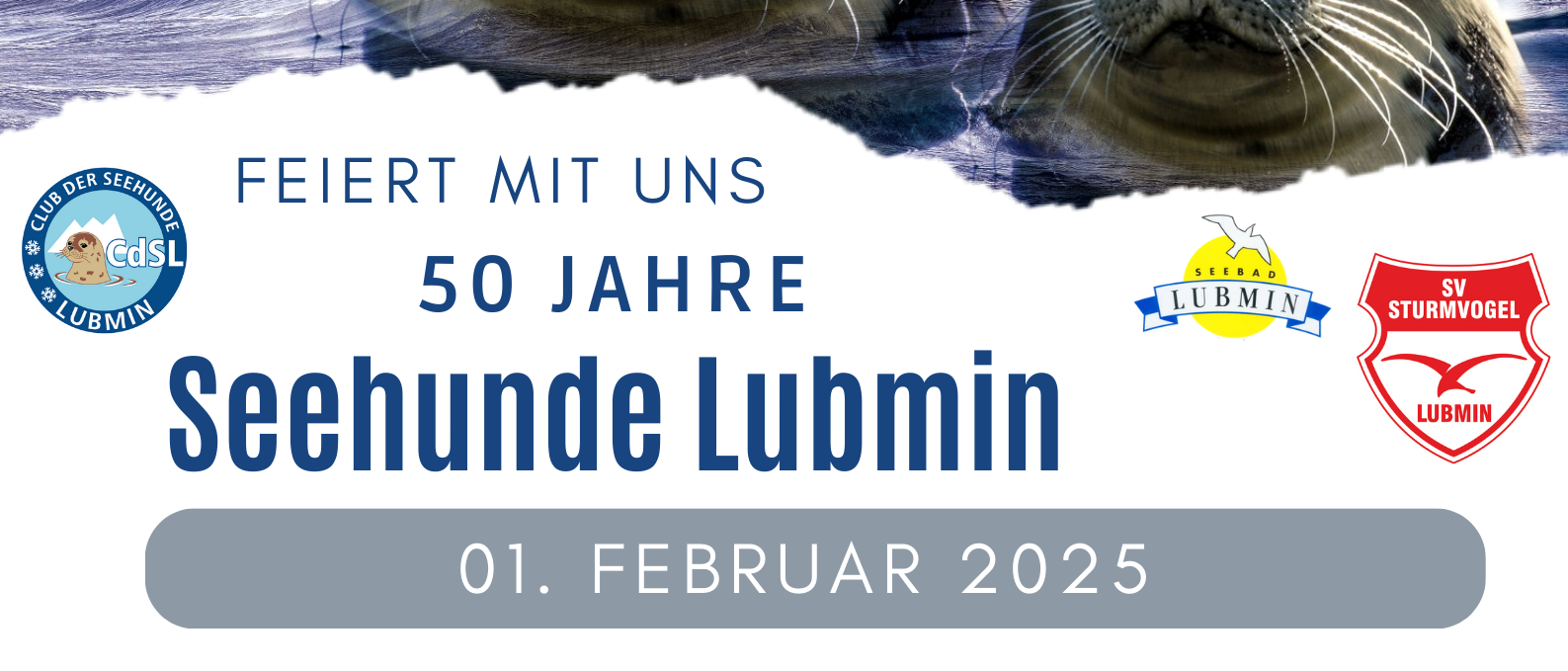 50 Jahre Seehunde Lubmin, © 50 years of seals Lubmin