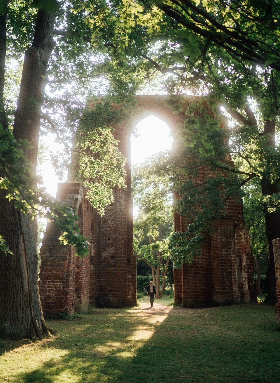 Bedeutendes Symbol der deutschen Romantik ist die Klosterruine Eldena vor den Toren Greifswalds., © TMV/Gross