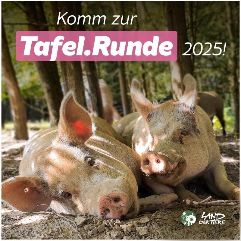 Komm zur Tafel.Runde 2025!, © Land der Tiere