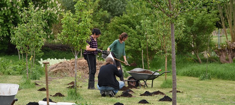 Klimafarming, © Projekthof Karnitz e.V.