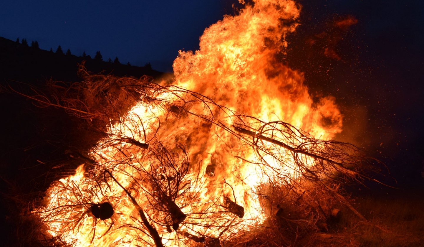 Weihnachtsbaum verbrennen, © wb.jpg