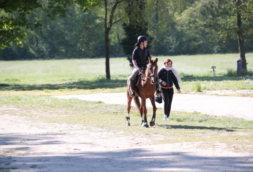 Zum Reitenlernen ist es nie zu spät, © TMV/Pantel