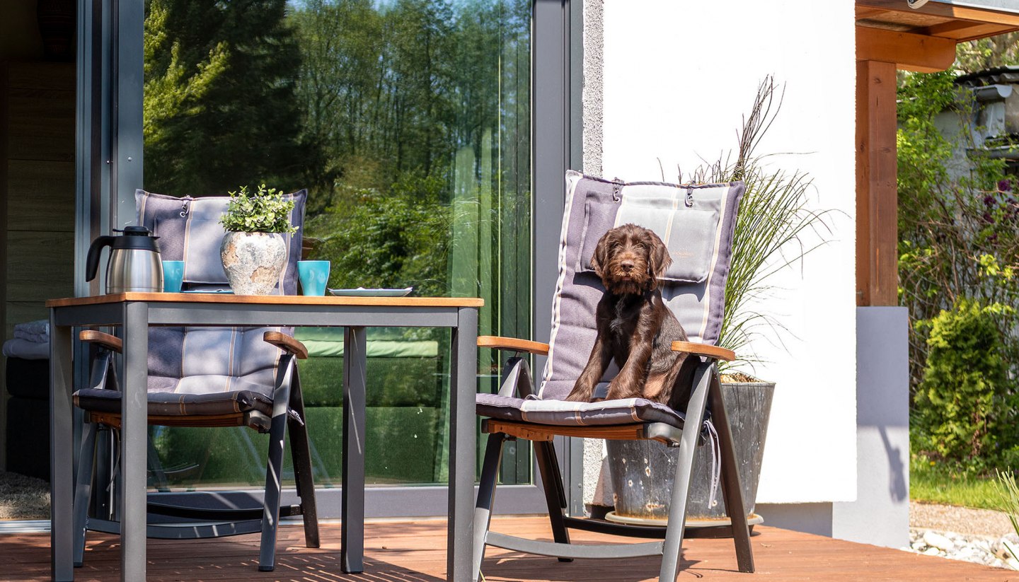 Urlaub mit Hund in Mecklenburg-Vorpommern, © K&amp;K Ferienimmobilien