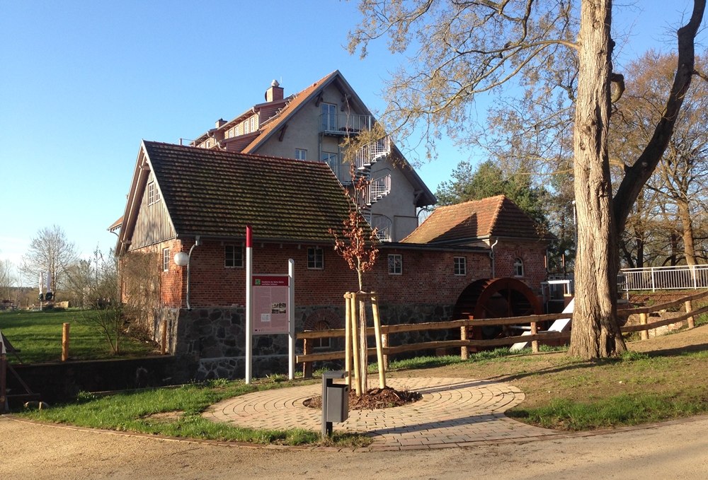 Wasserschaurad und Mühlenflies an der Bolter Mühle, © TDG Rechlin mbH