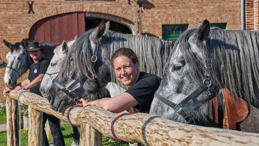 Spanish-Norman Horses vor dem Kornspeicher auf dem Gestüt Herian, © Michael Schauenberg