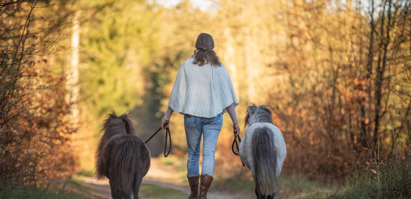 Spaziergang mit Ponys, © Anniemal Fotografie