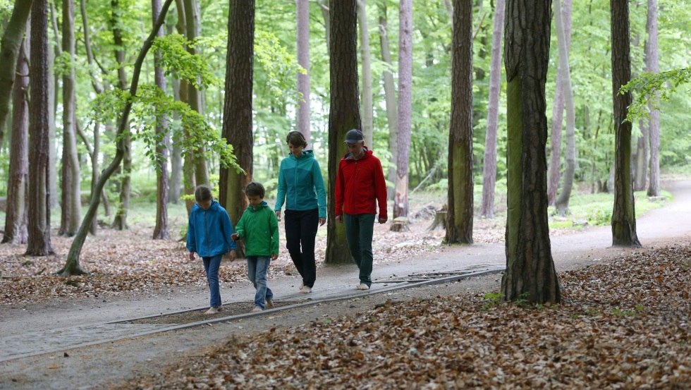 Ohne Schuhe geht's auf dem Barfußpfad über verschiedene Naturmaterialien wie Holz, Steine und Tannenzapfen., © TMV/outdoor-visions.com