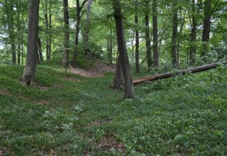 In der Höhenburg., © Lutz Werner