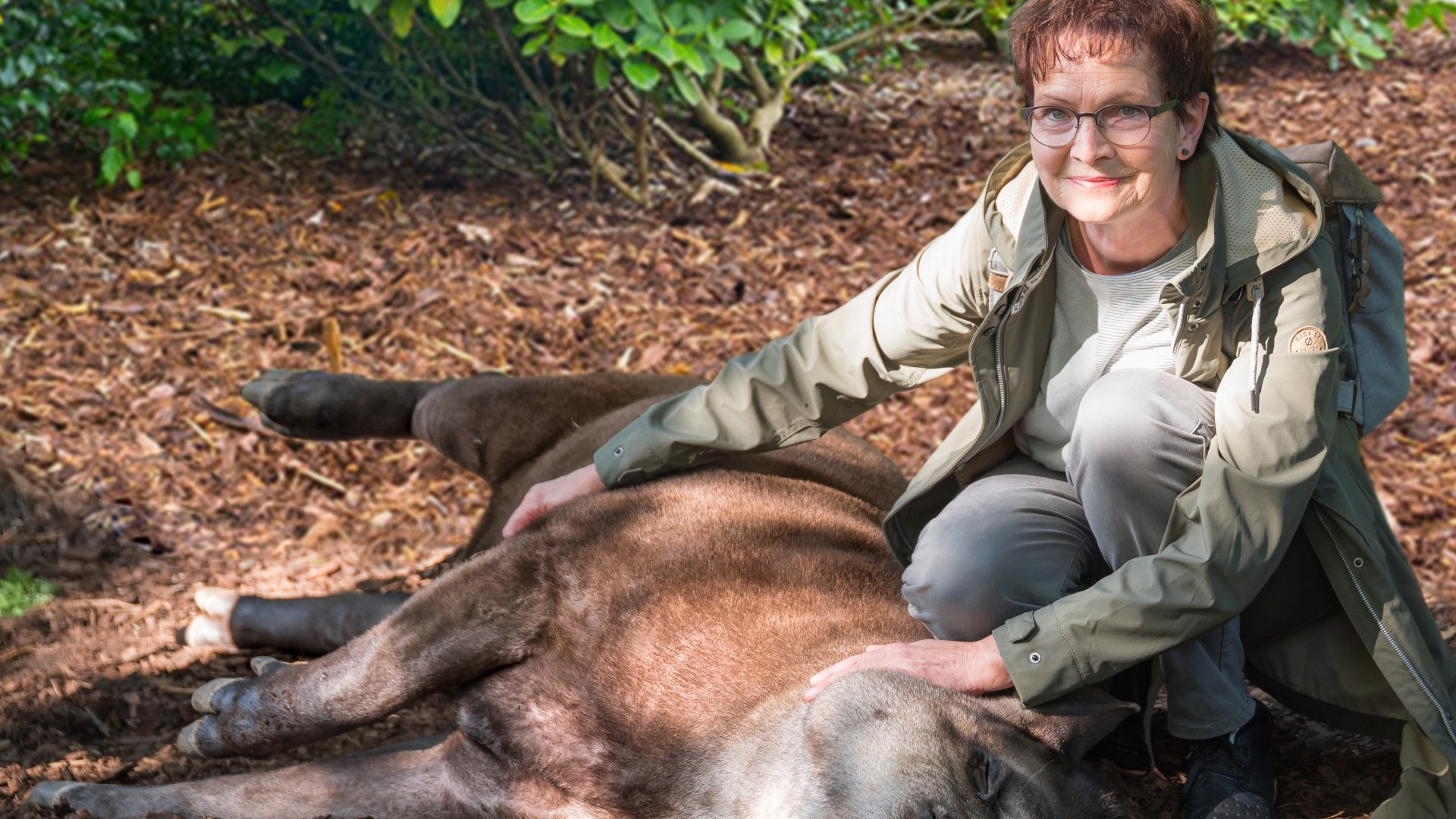 Rendezvous mit deinem Lieblingstier, © Zoo Schwerin