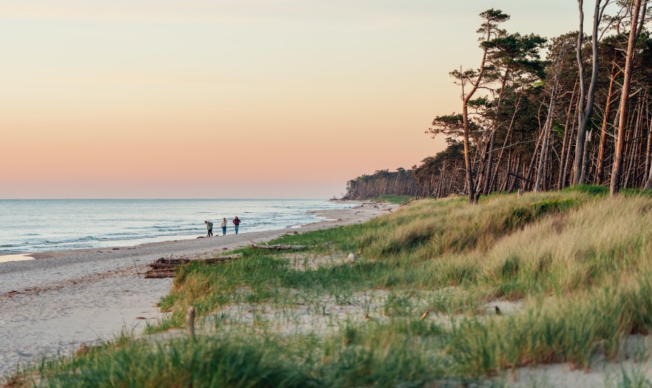 Ein idyllischer Spaziergang am Weststrand auf dem Darß: Drei Personen genießen den Sonnenuntergang, während die Küste in warmen Farben erstrahlt und die Natur zur Ruhe kommt.