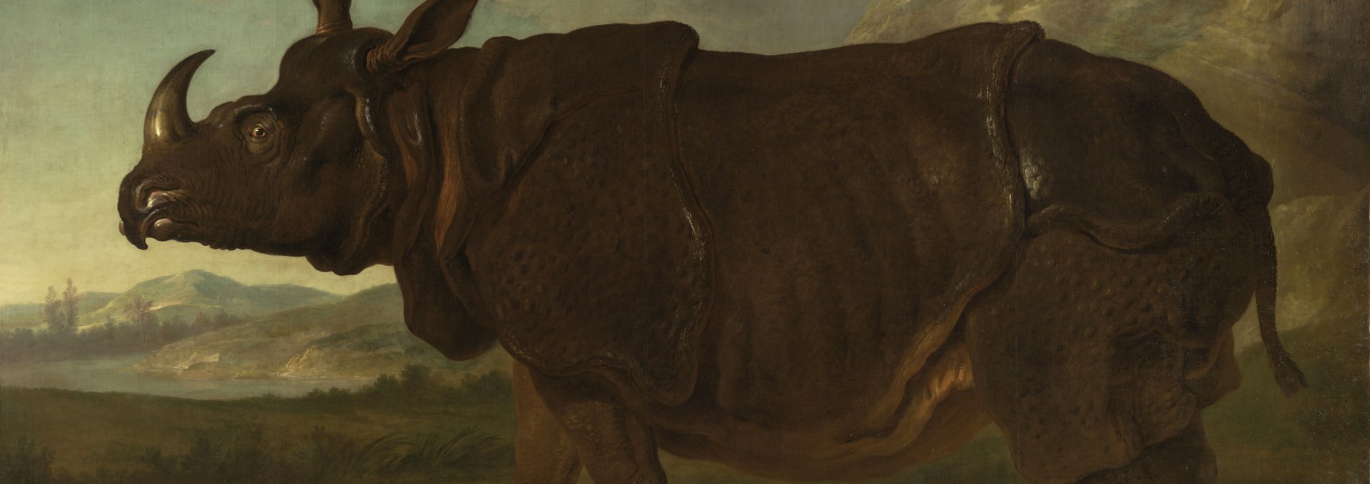 Jean Baptiste Oudrys Rhinozeros, © Foto: G. Bröcker, Staatliches Museum Schwerin