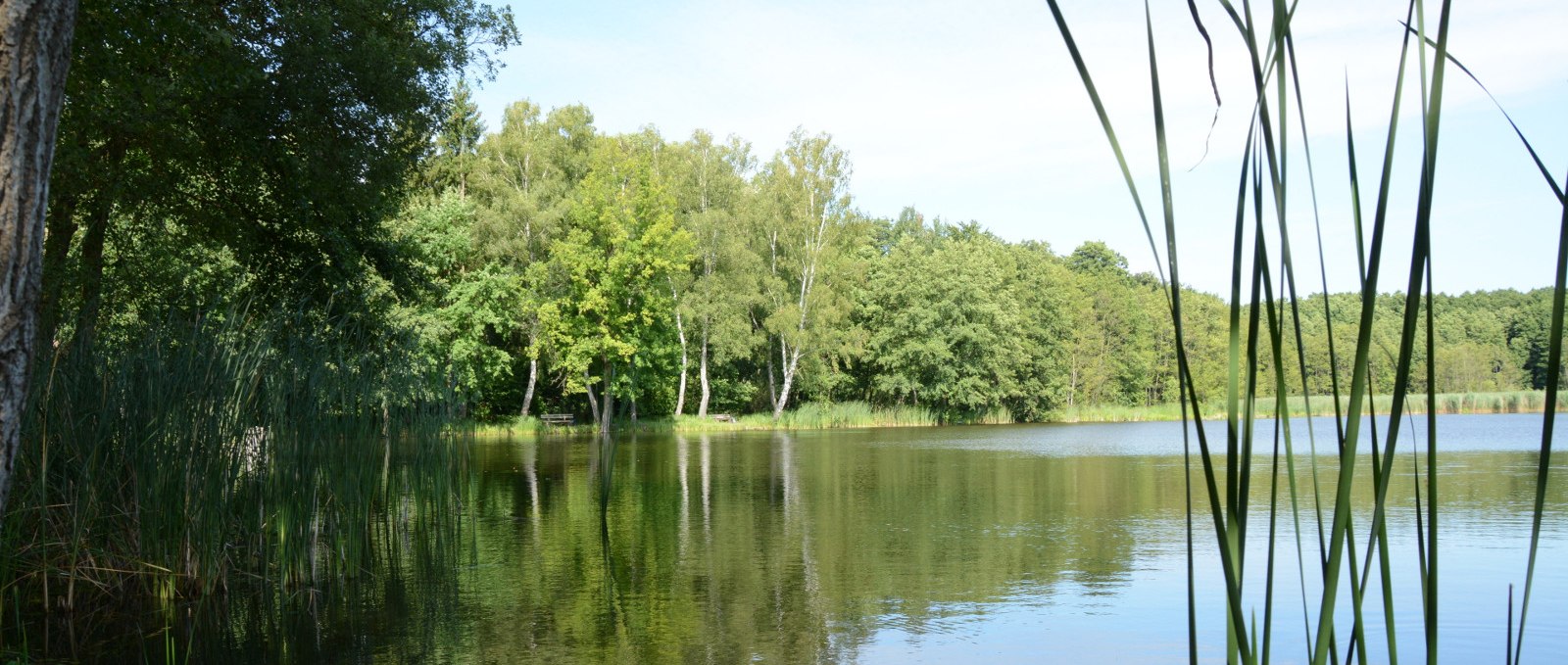 Karpfenteiche bei Voigtsdorf, © Tourismusverband Mecklenburg-Schwerin