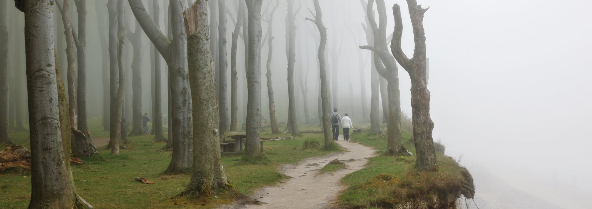 Die besondere Stimmung gibt dem Gespensterwald seinen Namen, © TMV/Grundner