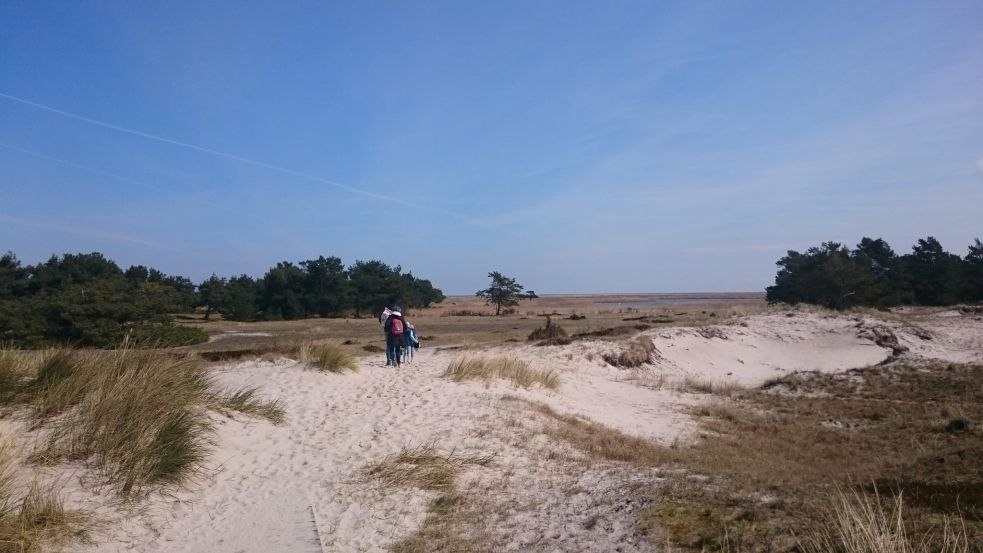 Dünen am Darßer Ort, © TMV/UB