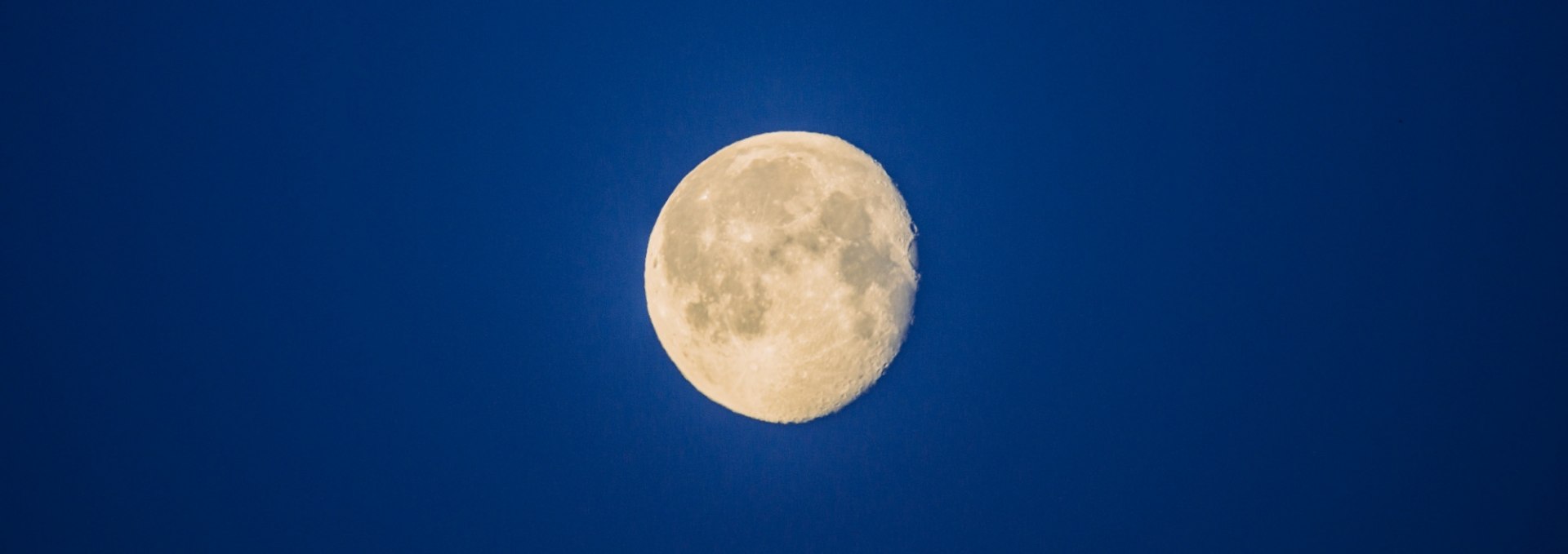 Vollmond auf dem Baumwipfelpfad, © Binzer Bucht Tourismus | Ch. Thiele