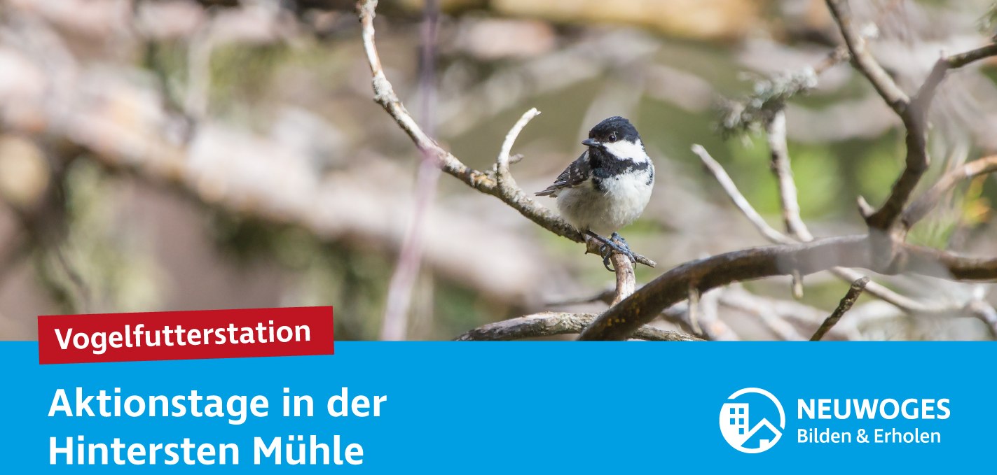 neuw-konzern_externe-komm_tierheim_aktionstage-24-vogelfutterstation