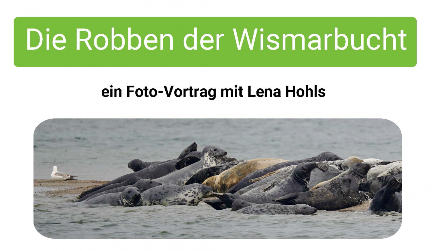 Vortrag_Die_Robben_der_Wismarbucht, © Lena Hohls