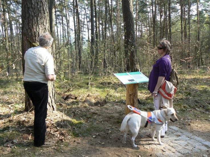 Ertastbare und mit Brailleschrift versehene Tafeln am Wegesrand, © Nationalparkamt Müritz/Kaiser