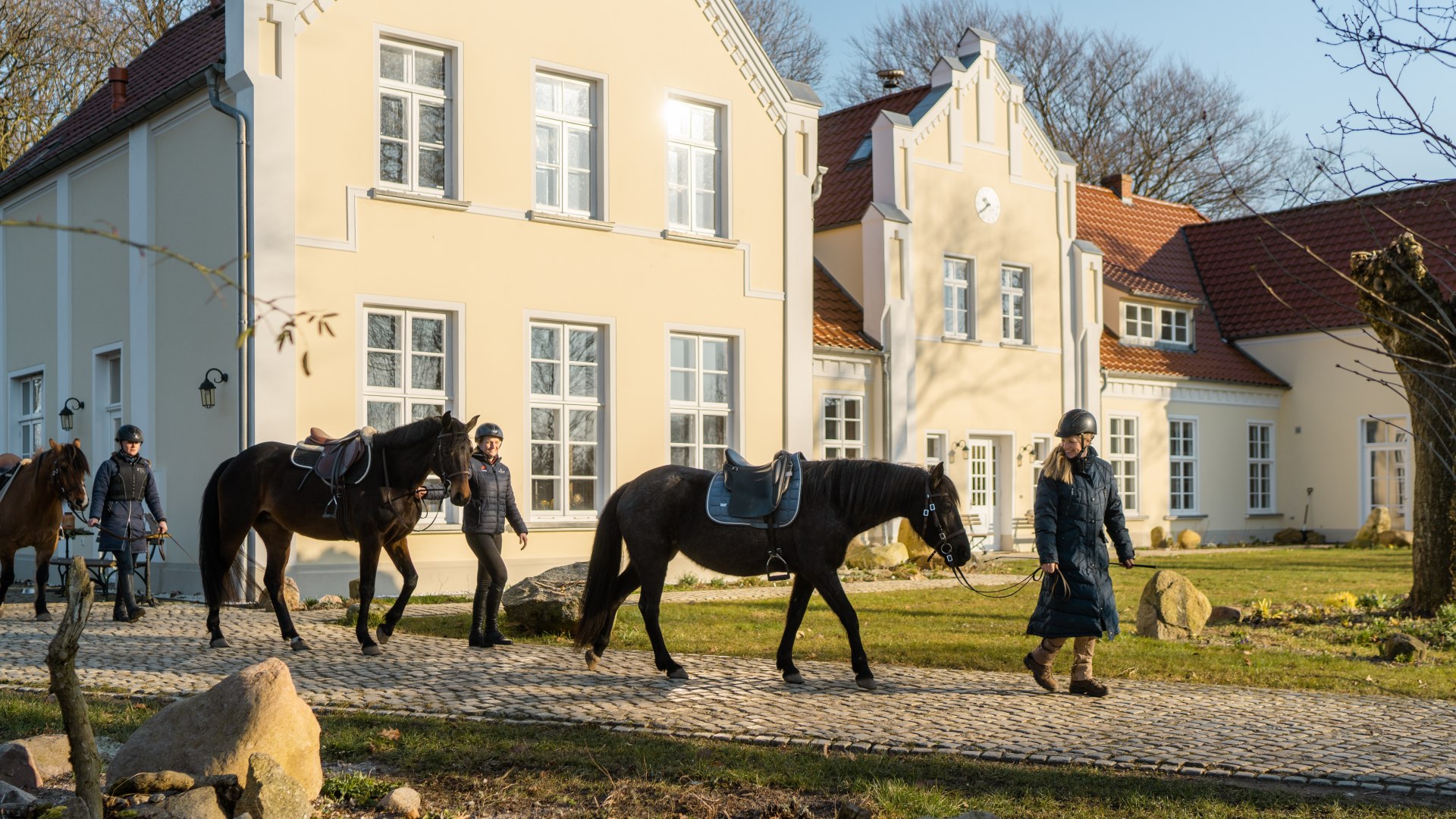 Pferde werden vorbei am Gutshaus Ehmkendorf geführt für einen Ausritt zum Sonnenuntergang., © TMV/Gross