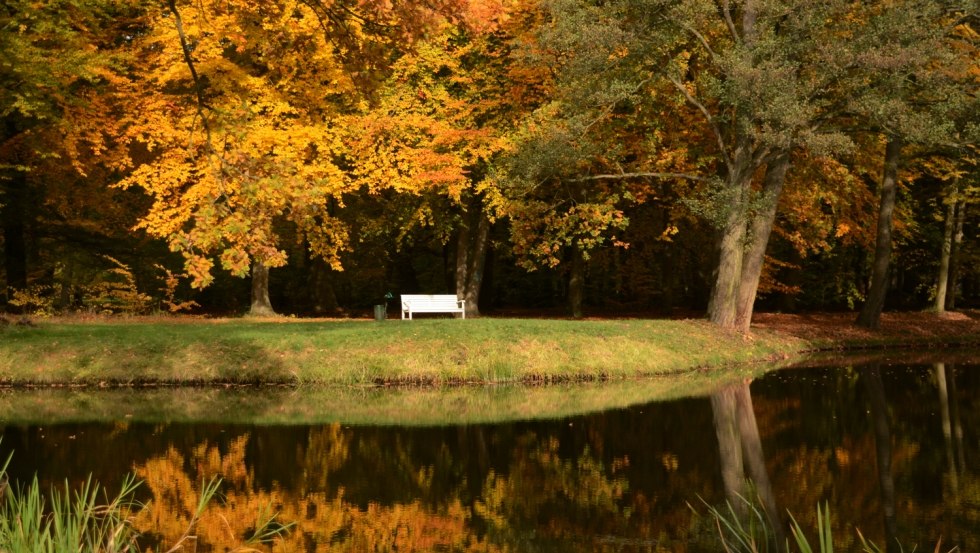 Herbst Ludwigslust Schlosspark Bank Herbst, © Tourismusverband Mecklenburg-Schwerin