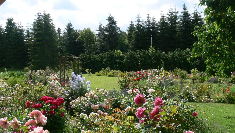 Ein Blick in den Rosengarten, © Rosentau-Keramik/Rehfeld