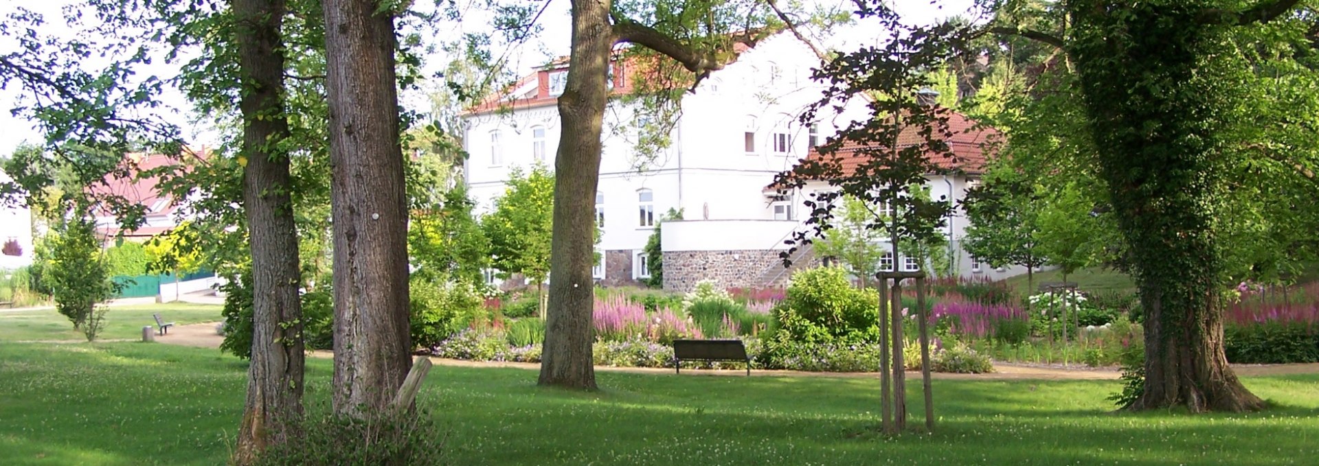 Die Parkanlage befindet sich direkt auf der Rückseite des Haus des Gastes, © Kurverwaltung Feldberger Seenlandschaft