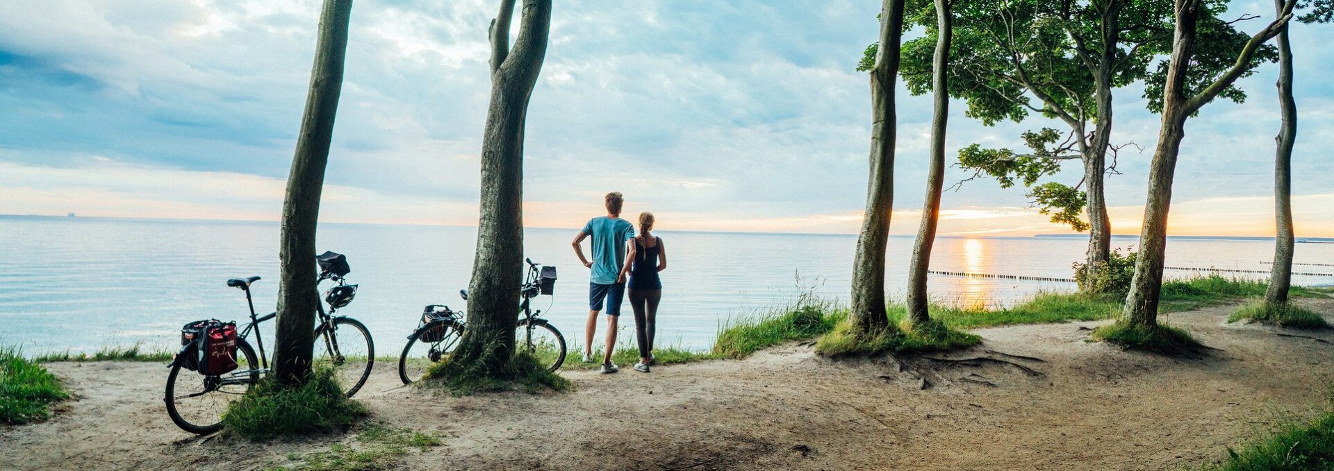 Der Nienhägener Gespensterwald liegt direkt an der Ostseeküste, © TMV/Gänsicke