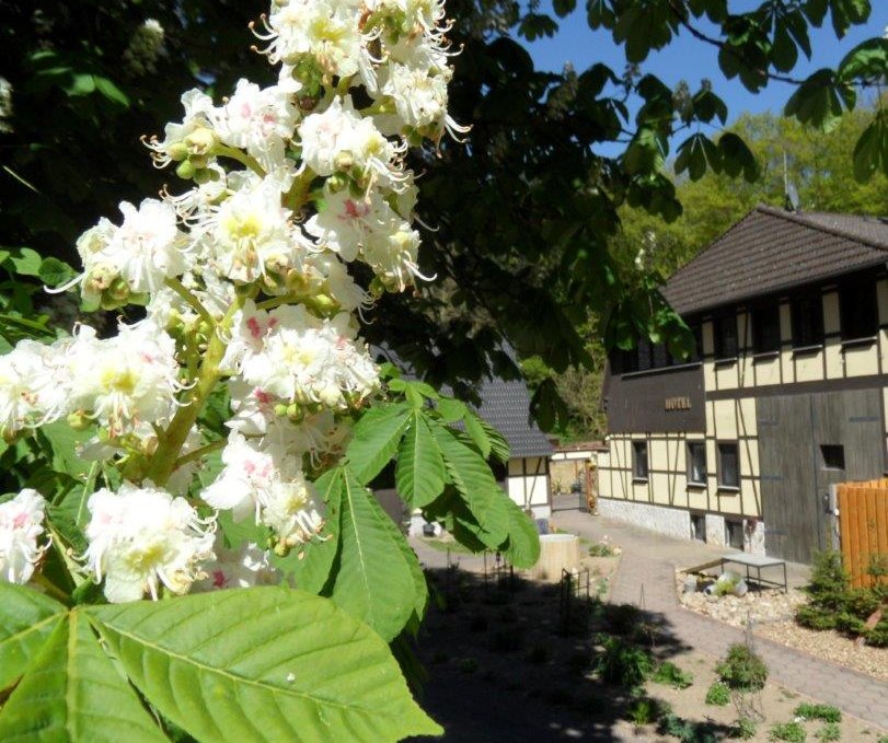 Dat Waldhus  im Frühling, © Steffen Tepasse