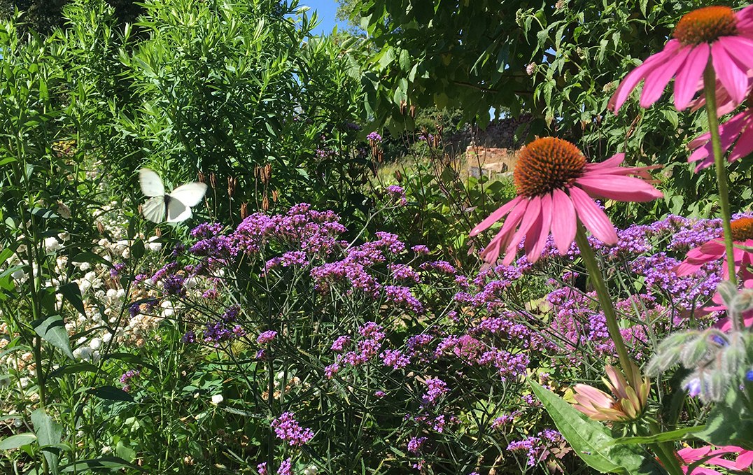 Im Garten des Herrenhauses Goldenbow, © Herrenhaus Goldenbow