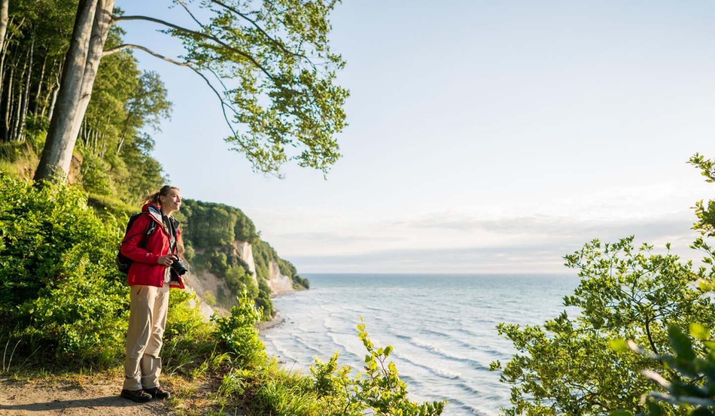 Wild und faszinierend: Die imposanten Kreidefelsen, ein zeitloses Symbol der Insel Rügen., © TMV/Roth