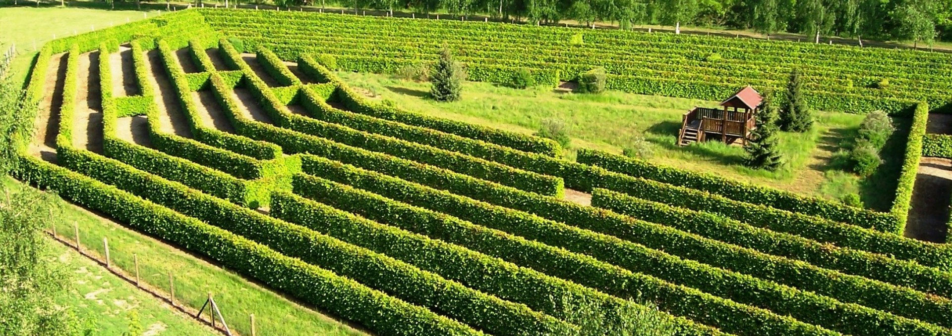 Irrgarten am Waldeck in Dargun, © Stadt Dargun