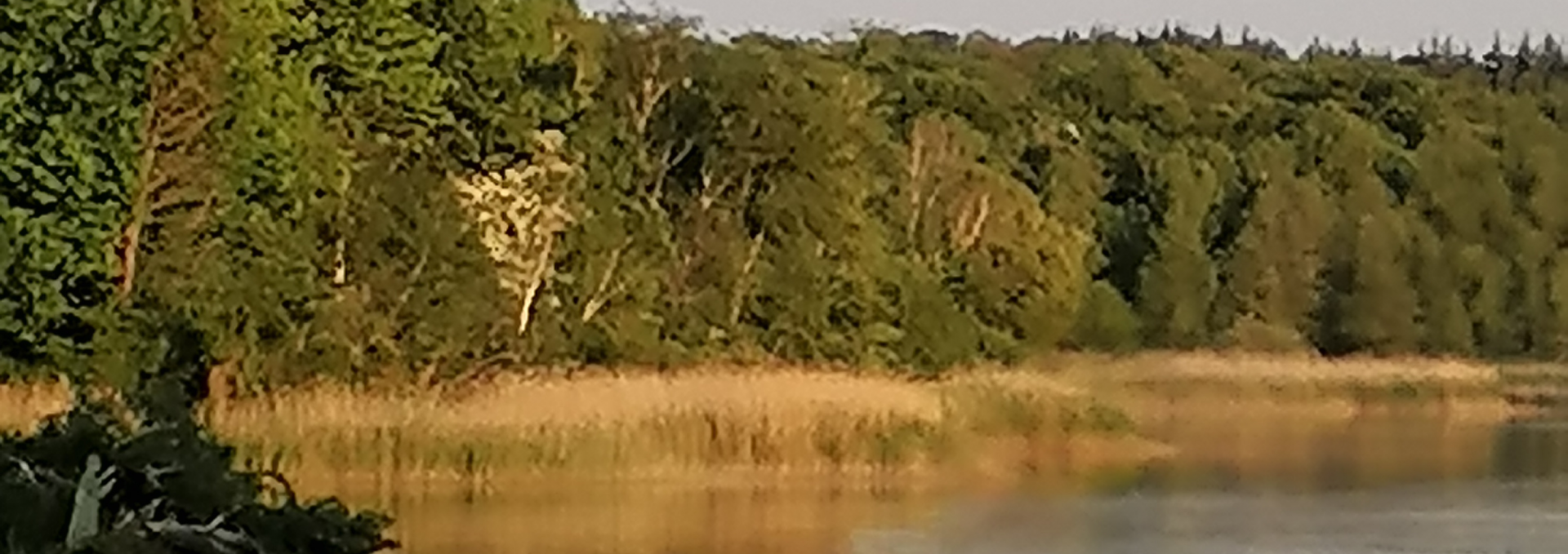 Fackelschwimmen auf dem Kölpinsee, © IMG_20230527_201748.jpg