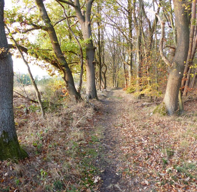 Wanderweg bei Kritzow, © Naturpark Sternberger Seenland