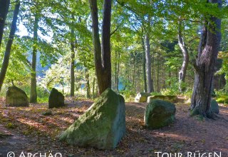 Am Küstenweg zwischen Lancken-Granitz und Stresow liegen die "Ziegensteine" im Schatten hoher Laubbäume., © Archäo Tour Rügen