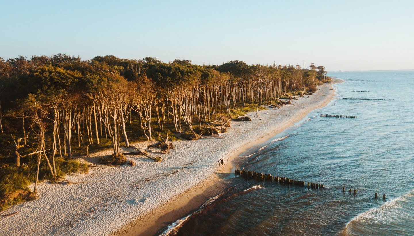 Das Ostseeheilbad Graal-Müritz liegt schön eingebettet zwischen ausgedehnten Sandstränden, kilometerlangen Küstenwäldern und der Rostocker Heide., © TMV/Friedrich