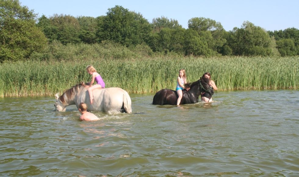 Erfrischung für Ross und Reiter auf Anikas Urlaubs- und Erlebnishof, © Anikas Urlaubs- und Erlebnishof/ Markgraf