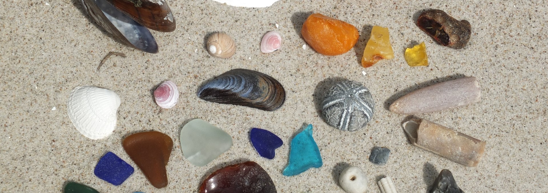 Strandfunde vom Ostseestrand, © Martin Hagemann