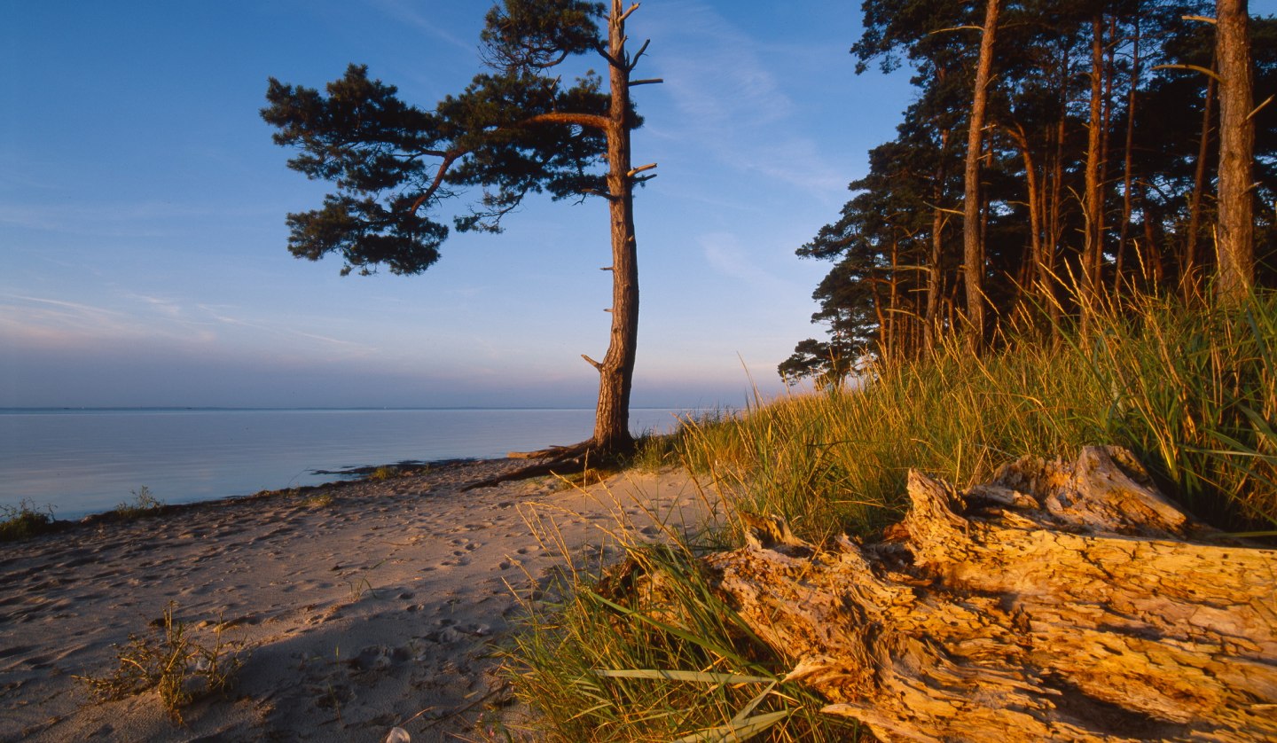 Strand Ludwigsburg in Abendstimmung, © TMV.Thomas Grundner