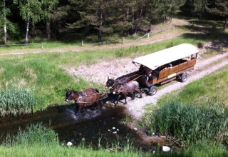 Spannend kann sie sein, die Fahrt. gehen die Tiere durch´s Wasser?, © Reit- und Fahrtourstik Lychen