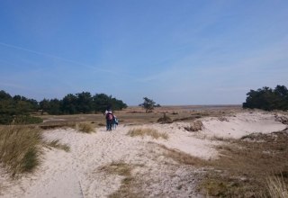 Dünen am Darßer Ort, © TMV/UB