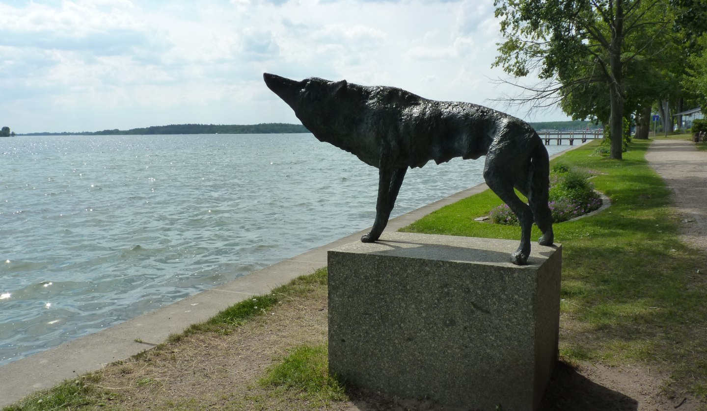 Die Wölfin - Plastik von Walther Preik, © Waren (Müritz)-Information